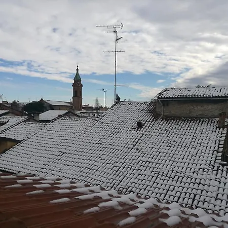 Remorsella * Bologna