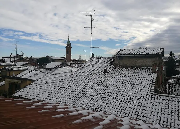 Remorsella * Bologna